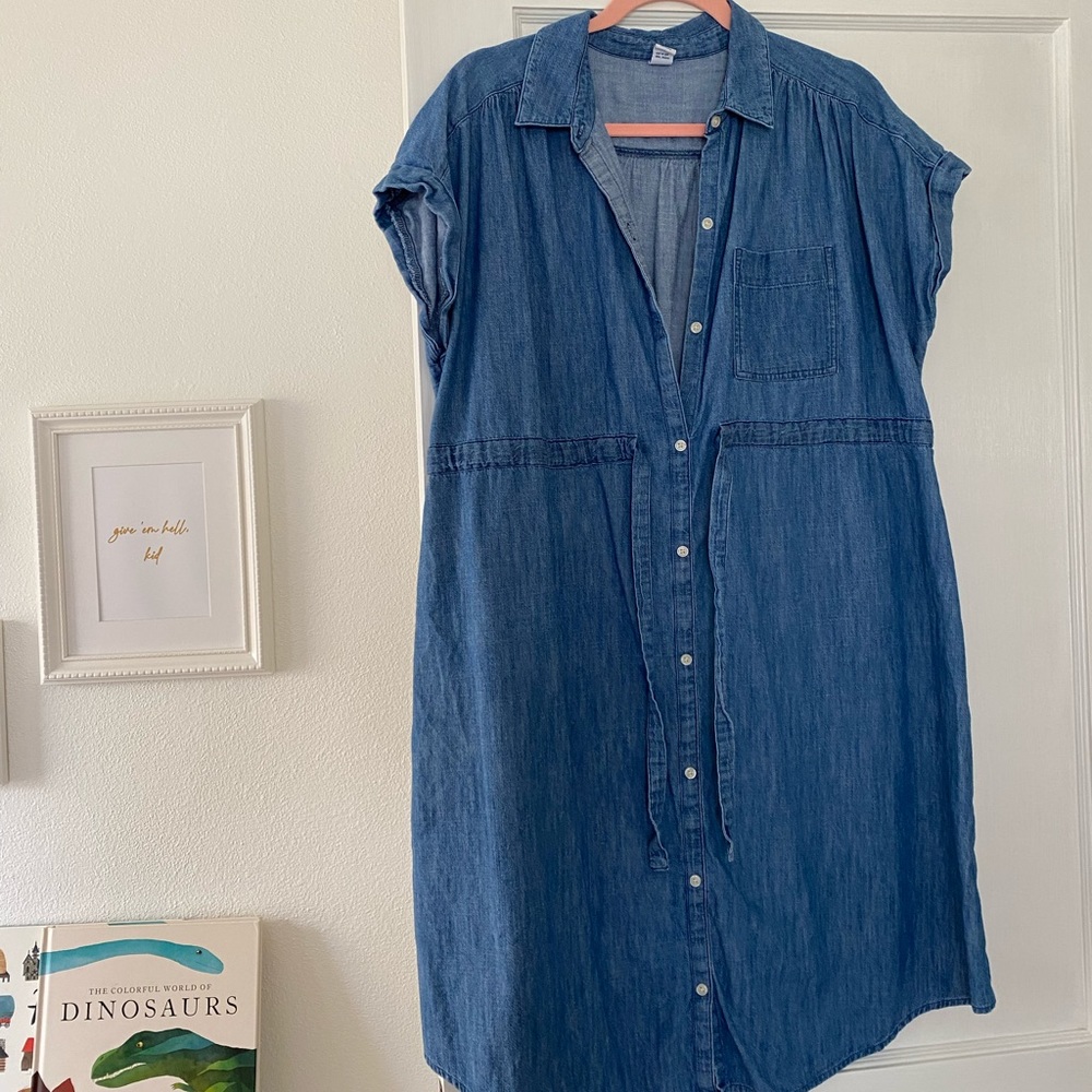 Buttondown Chambray Maternity Dress